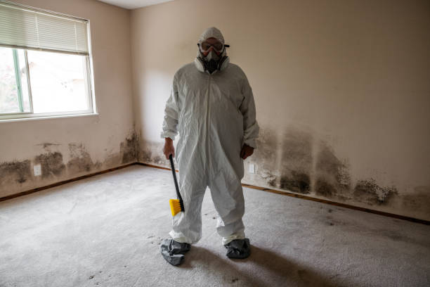 Best Post-Remediation Verification Testing  in Stevensville, MT