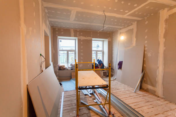 Best Emergency Mold Remediation  in Stevensville, MT